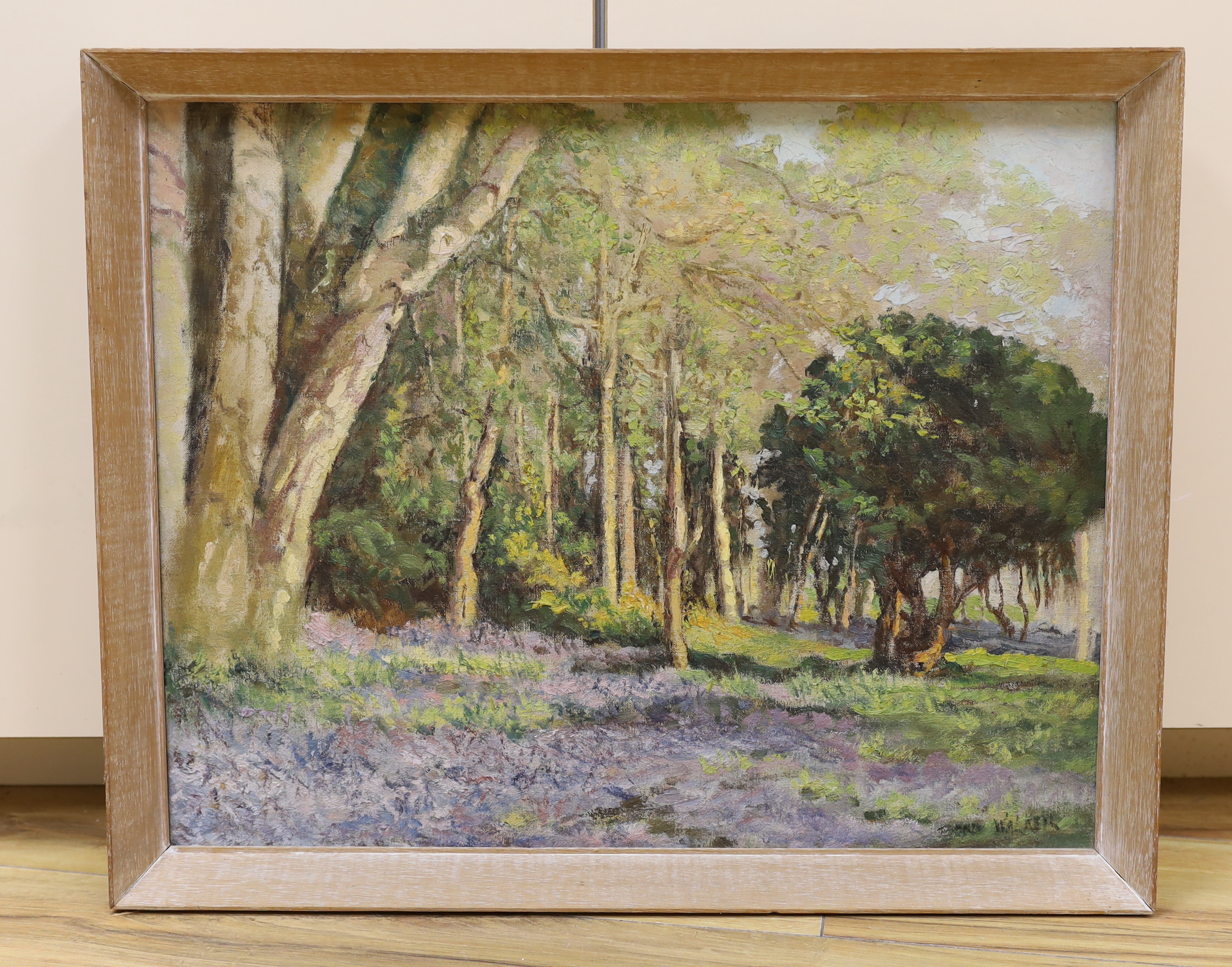 David Bond Walker (1891-1977), oil on canvas, Bluebell wooded landscape, signed, 39 x 50cm